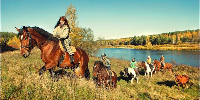 Zemnieku saimniecība "Klajumi" - Viesnīcas Krāslavas nov.