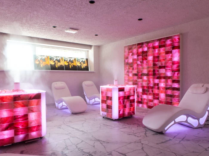 Mineral SPA Draugystė - Viesnīcas Druskininkos