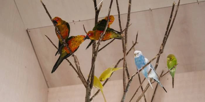 Siguldas ZOO - Viesnīcas Siguldā