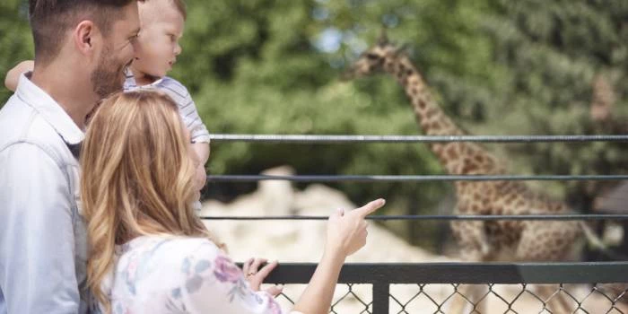Carillon Aparthotel - Keystone Collection - Viesnīcas Rīgā