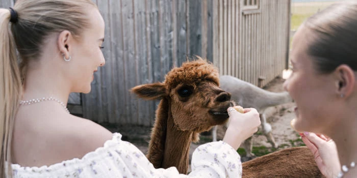 Sodelišku muižas lauku sēta - Viesnīcas Biržos